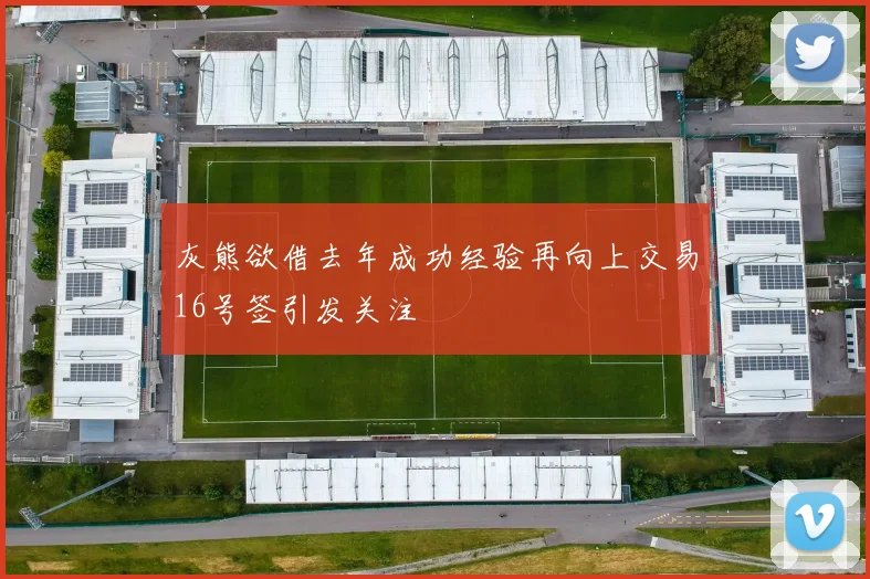 灰熊欲借去年成功经验再向上交易16号签引发关注
