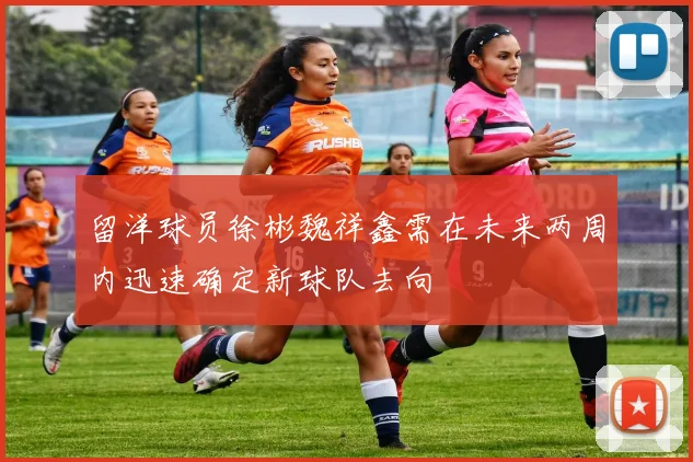 留洋球员徐彬魏祥鑫需在未来两周内迅速确定新球队去向