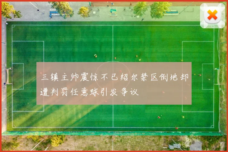 三镇主帅震惊不已绍尔禁区倒地却遭判罚任意球引发争议