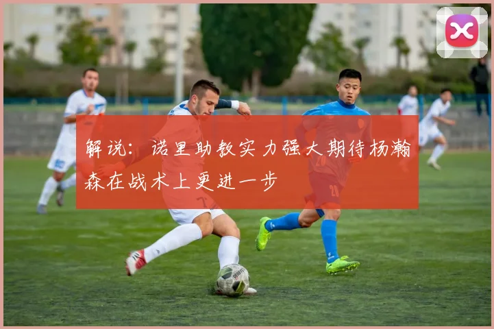 解说：诺里助教实力强大期待杨瀚森在战术上更进一步